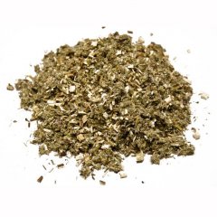 Cretan Mugwort (Artemisia absinthium)