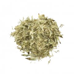 Cretan milk thistle