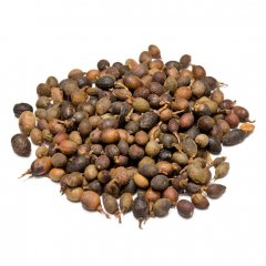 Laurel Berries (Laurus Nobilis)