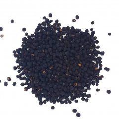 Tasmanian pepper