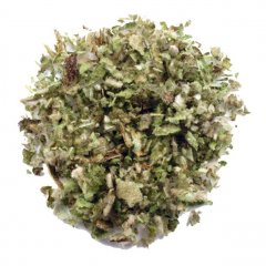 Mullein leaves