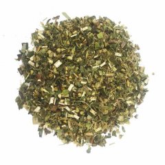 Goldenrod - Solidago virgaurea