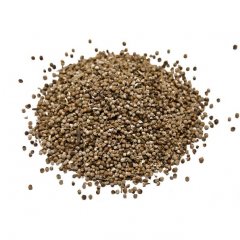 Chaste tree seeds - Vitex agnus-castus