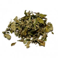Greek lemon balm