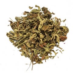 Geranium leaves ( Geranium pelargonium )
