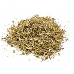 Caltrop (Tribulus terrestris)