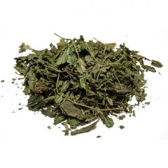 Cretan Stinging nettle