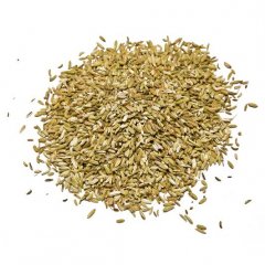 Greek Fennel seeds