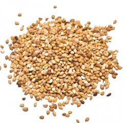 Mahlab seeds