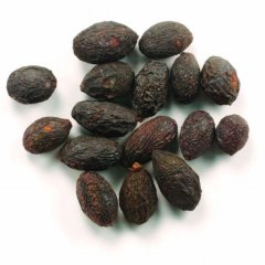 Saw palmetto (serenoa repens)