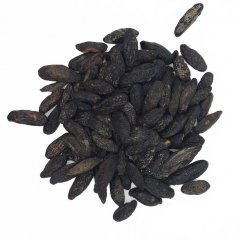 Tonka beans
