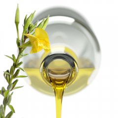 Evening primrose oil