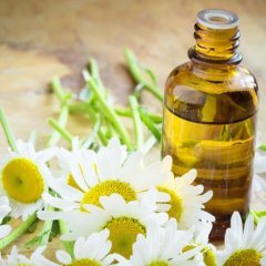 Chamοmile oil