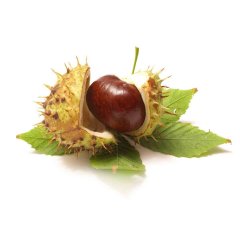 Horse Chestnut oil