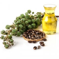 Castor Oil