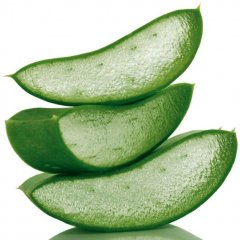 Aloe vera oil
