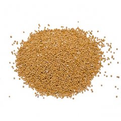 Yellow mustard seeds