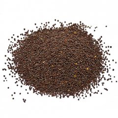 Black mustard seeds